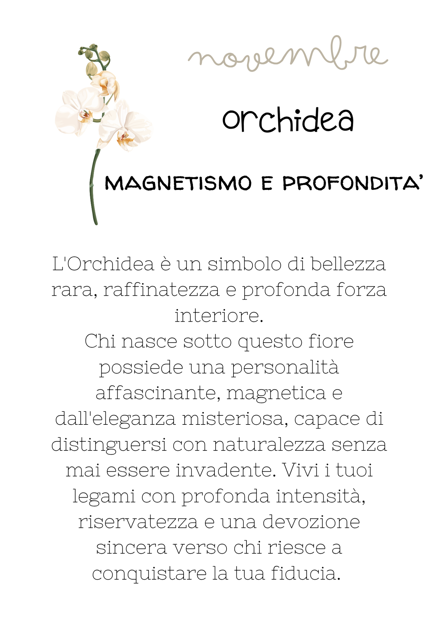 Novembre - Orchidea - Magnetismo e Profondità