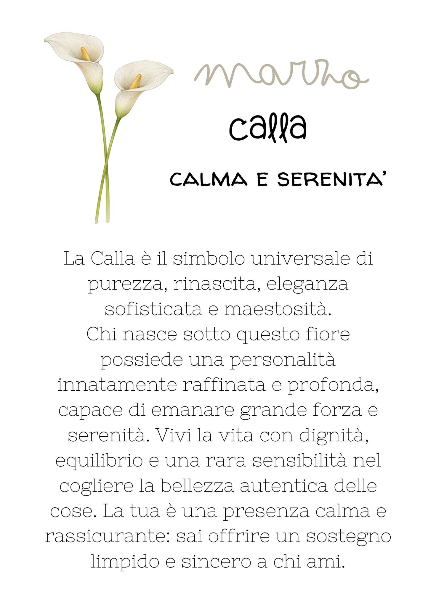 Marzo - Calla - Calma e Serenità