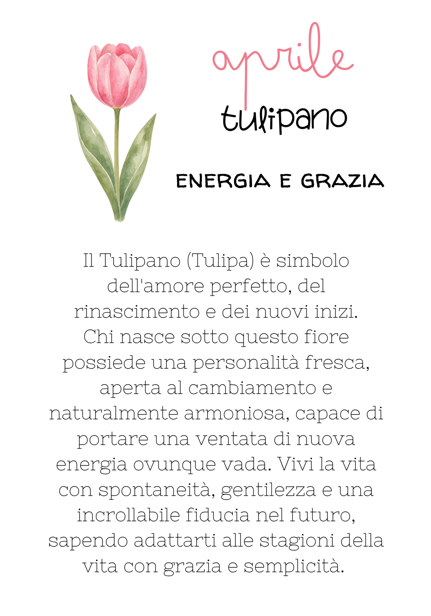 Aprile - Tulipano - Energia e Grazia