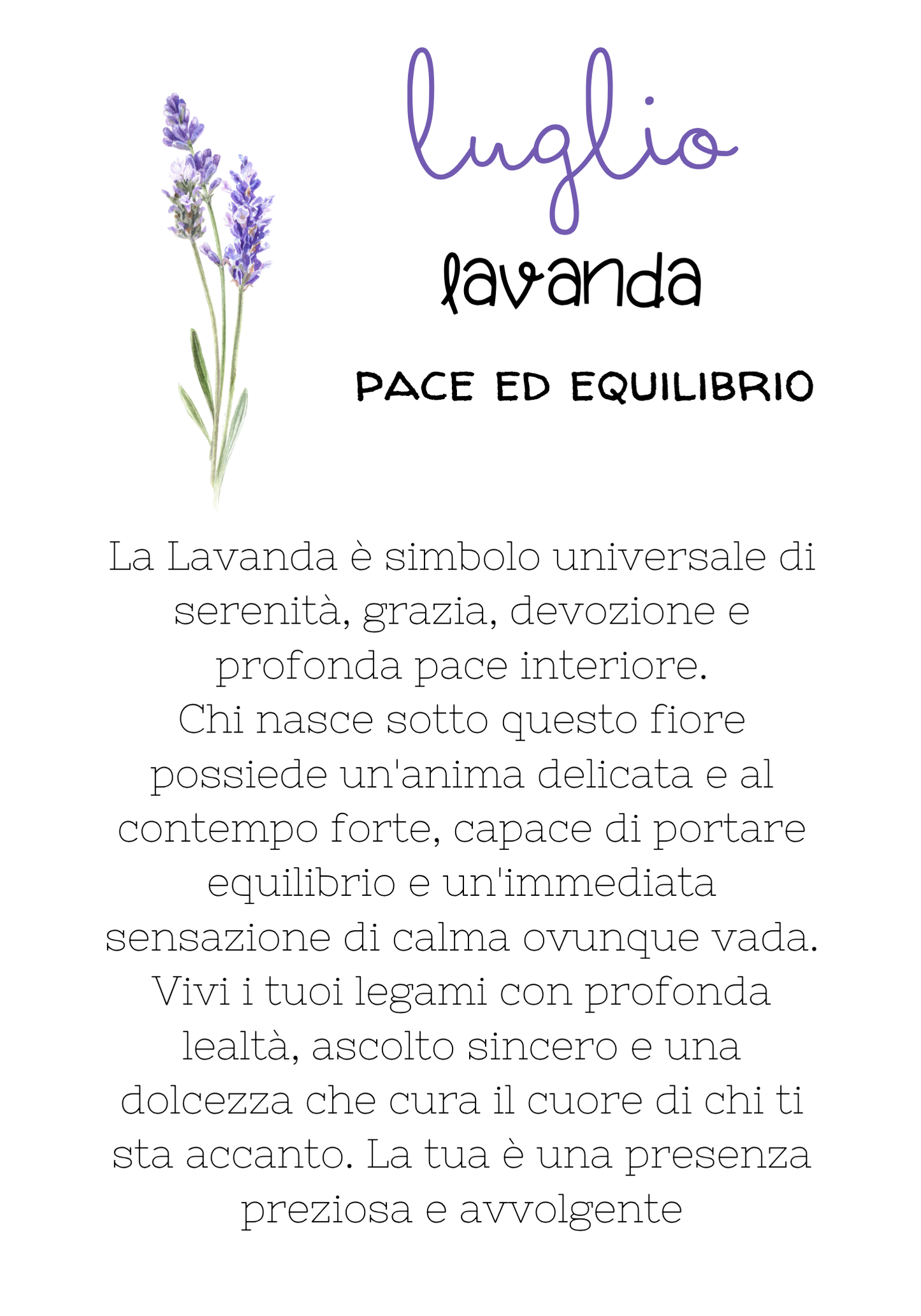 Luglio - Lavanda - Pace ed Equilibrio